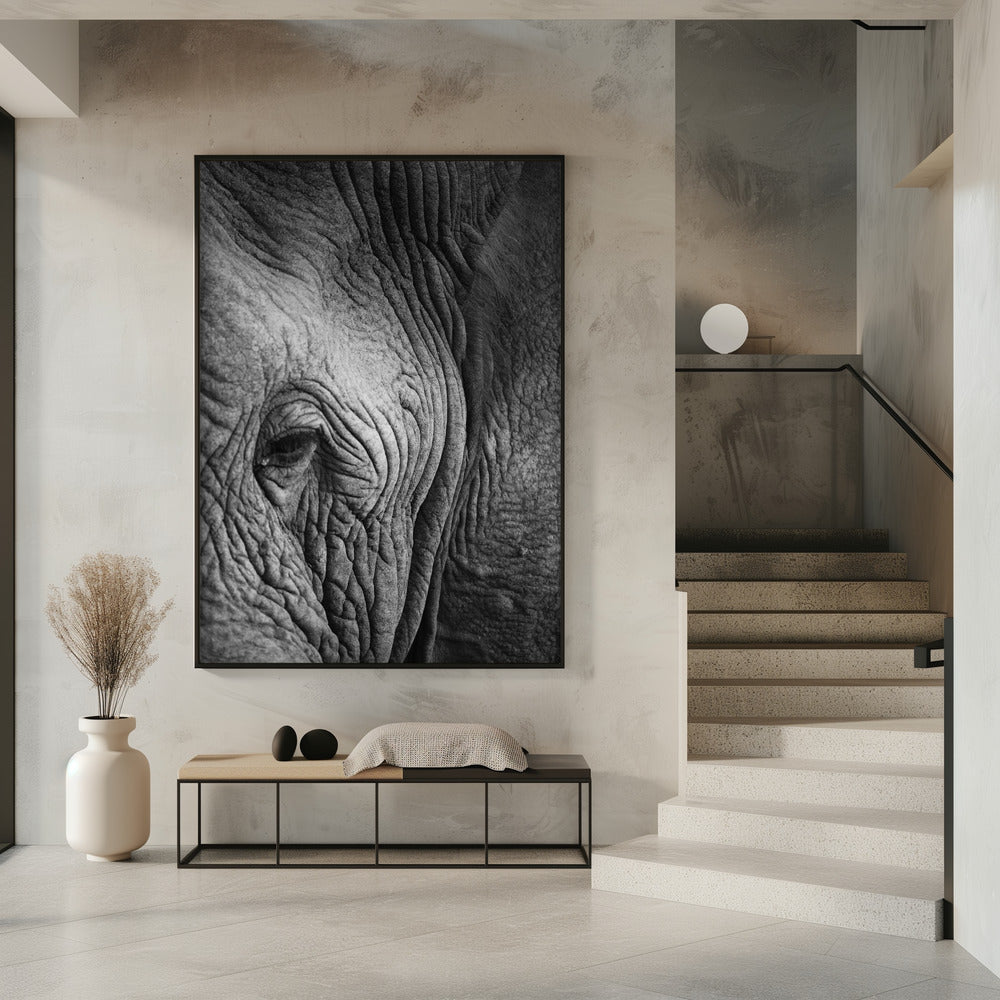 Wisdom&#039;s Wrinkles | Poster