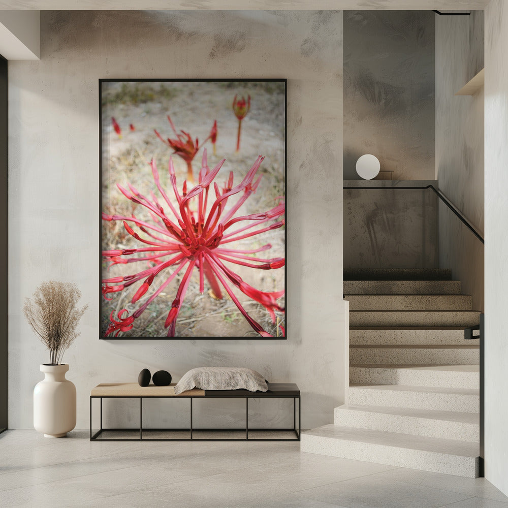 Crimson Spirals | Poster