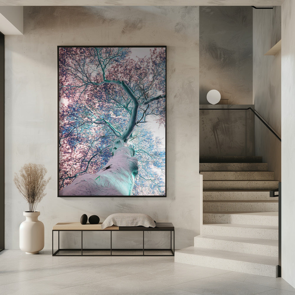 Dreamscape Canopy | Poster