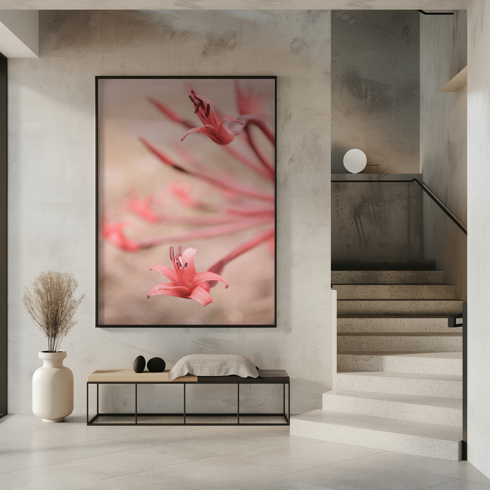 Petals in Focus | Poster