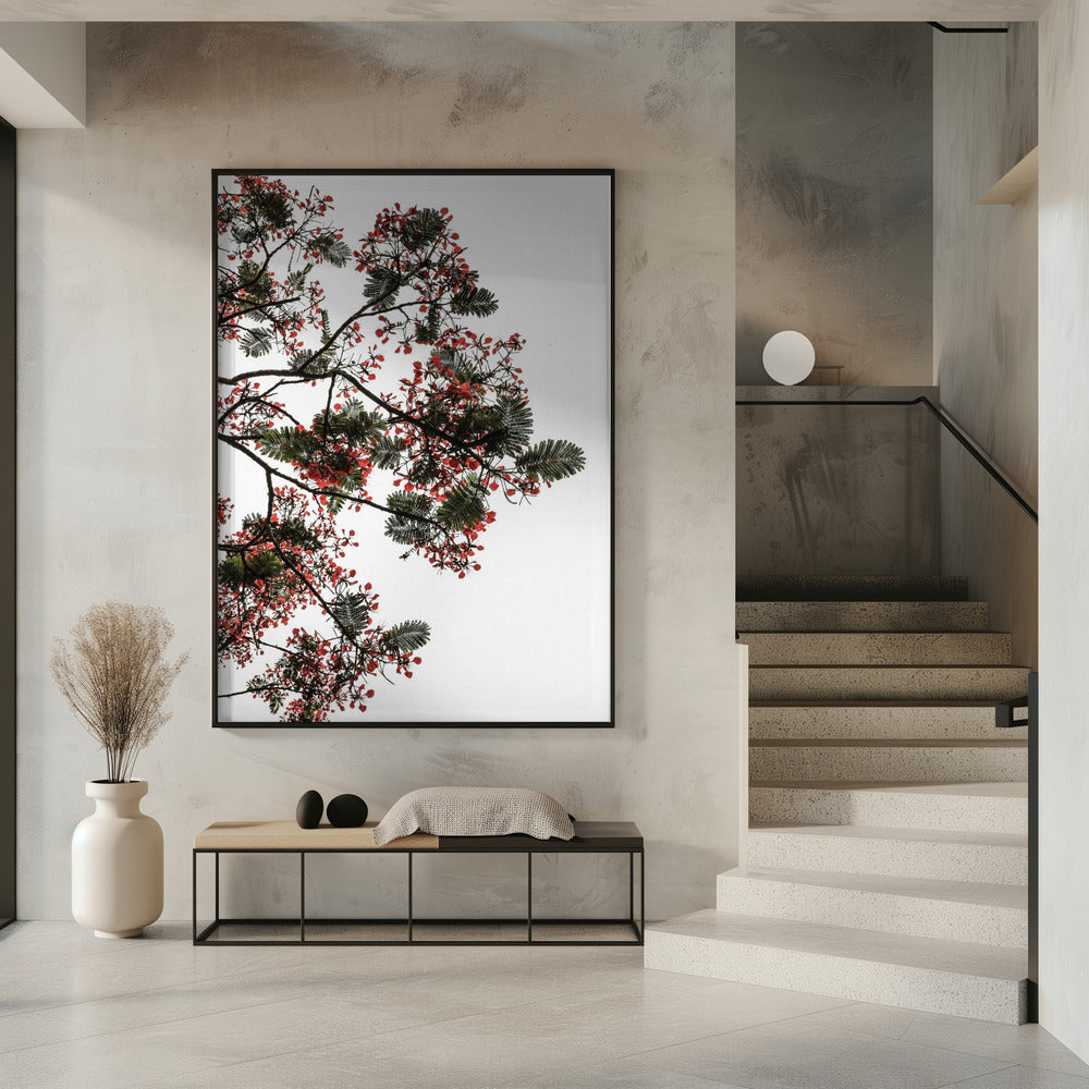 Blossom Canopy | Poster