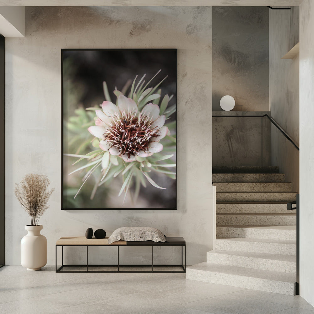 Desert Bloom Halo | Poster