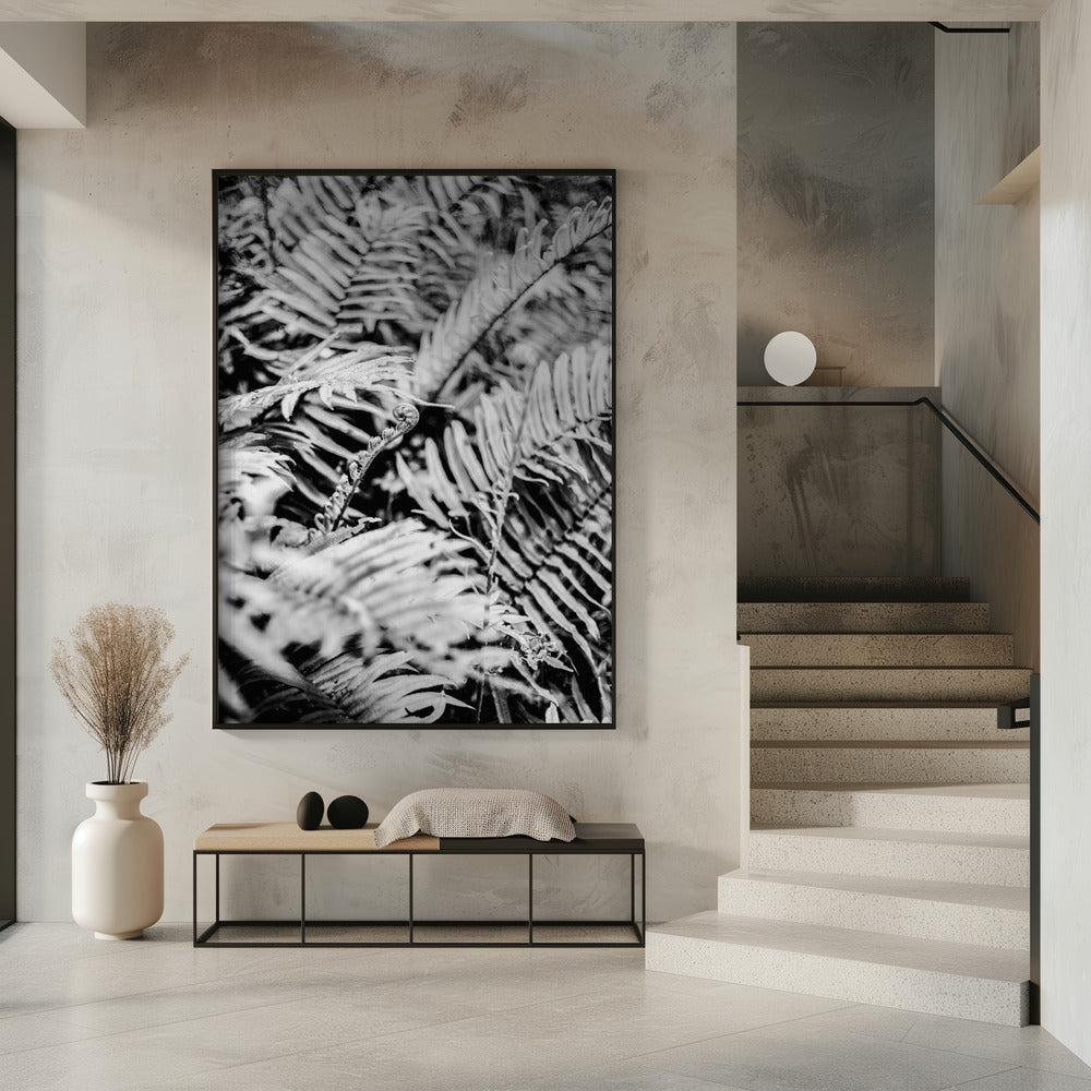 Whispering Ferns | Poster