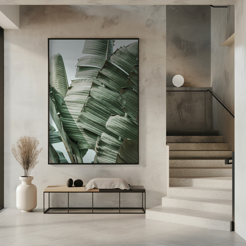Banana Leaf Harmony | Poster