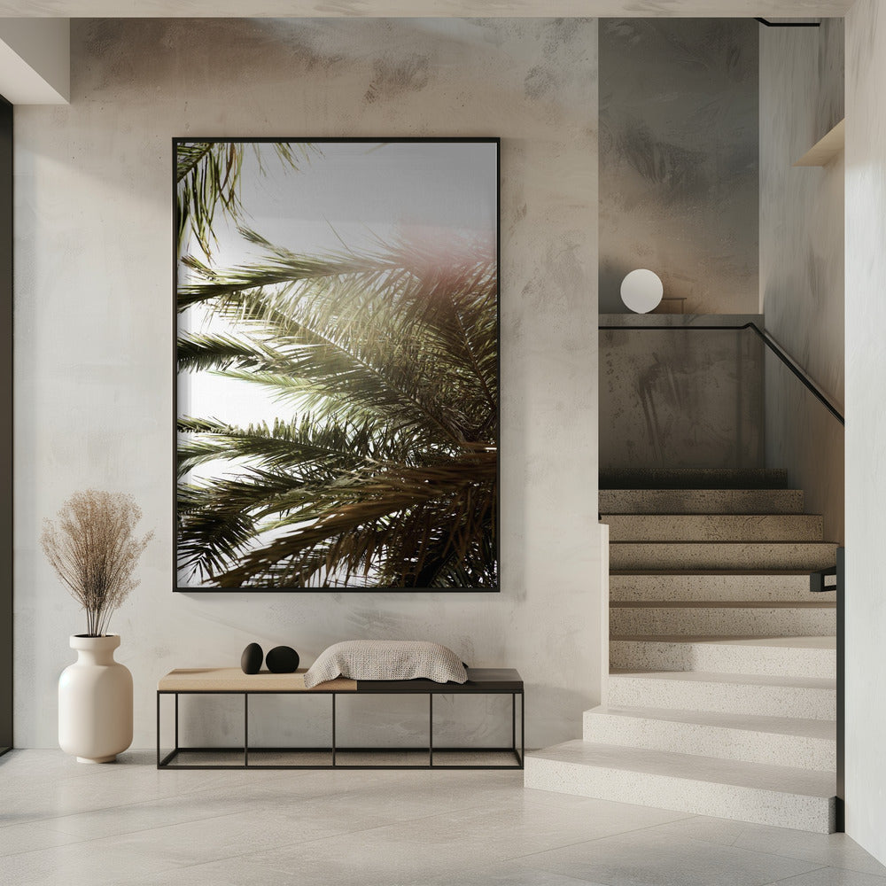 Sunlit Palm Dream | Poster
