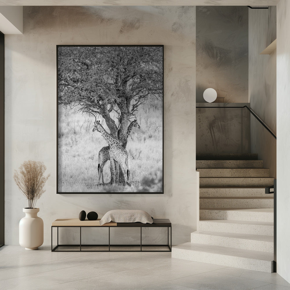 Under African Skies | Poster