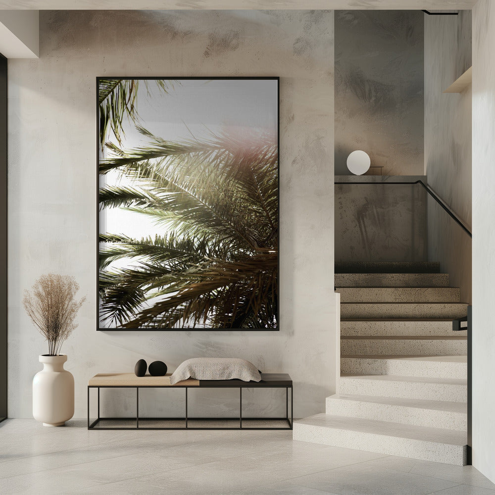 Sunlit Palm Glow | Poster