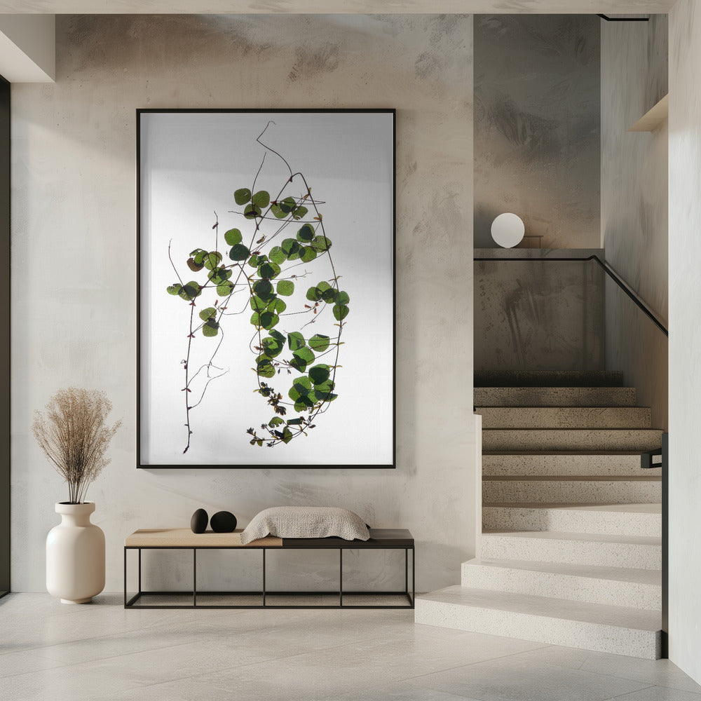 Vine’s Dance | Poster