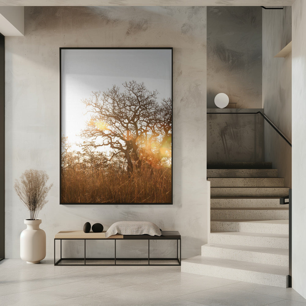 Sunlit Silhouette | Poster