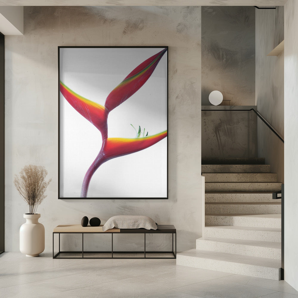 Tropical Elegance | Poster