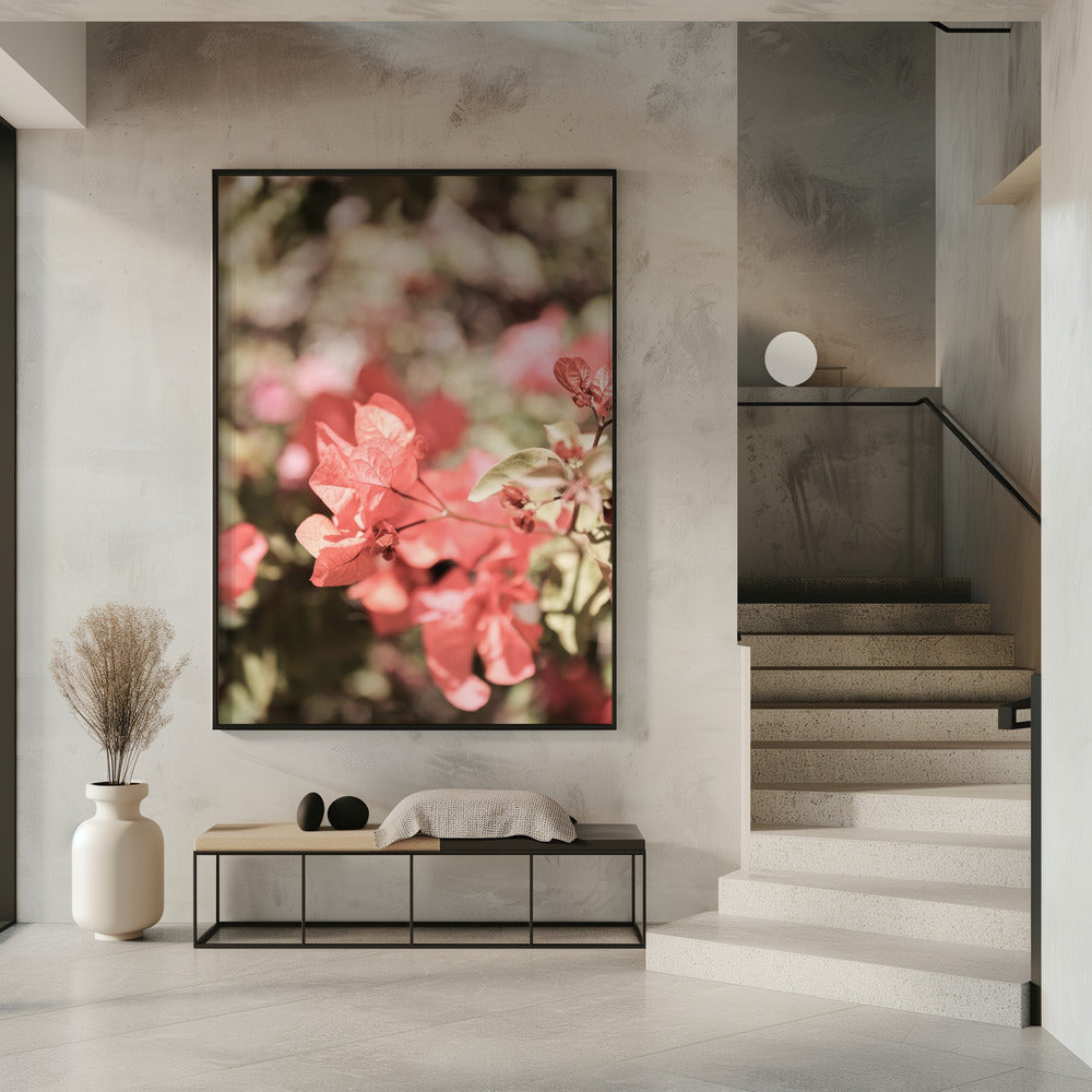 Petals in Focus | Poster