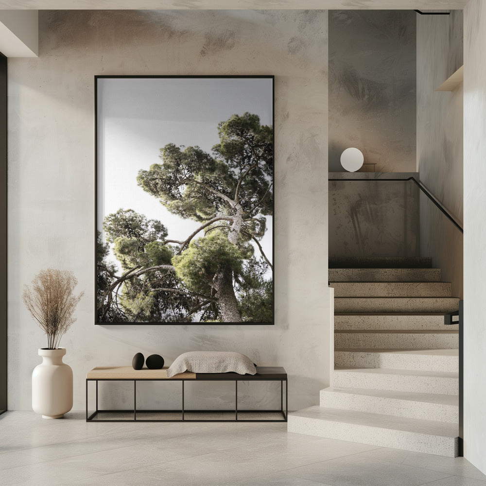 Towering Pines | Poster