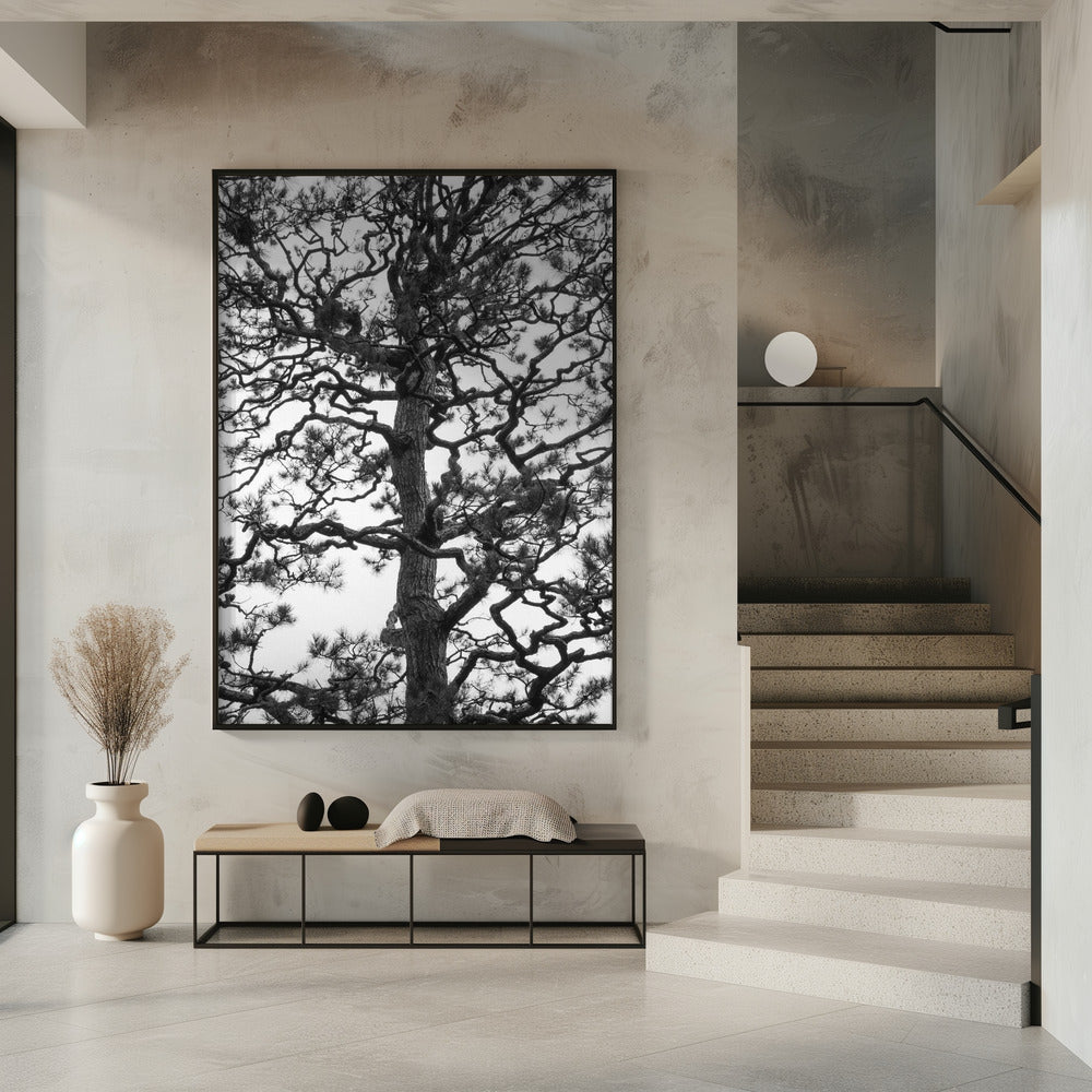 Twisting Tree Silhouette | Poster