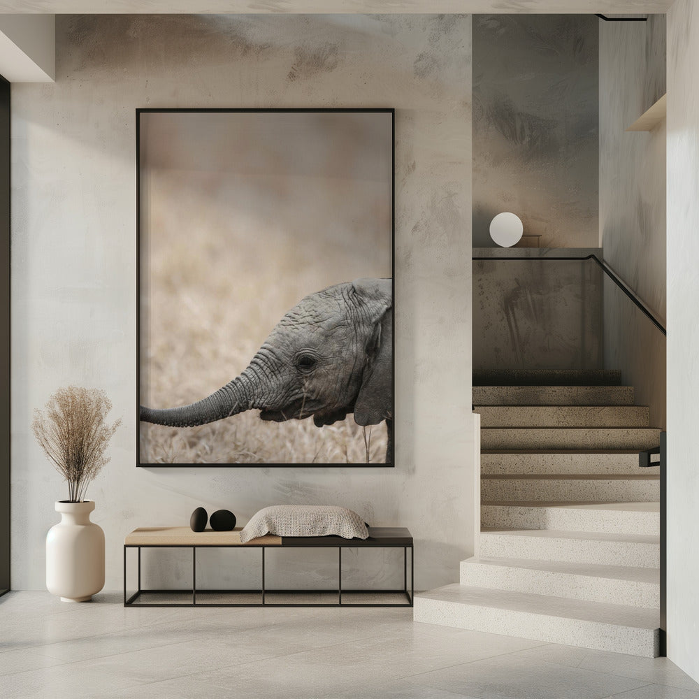 Gentle Giant&#039;s Gaze | Poster