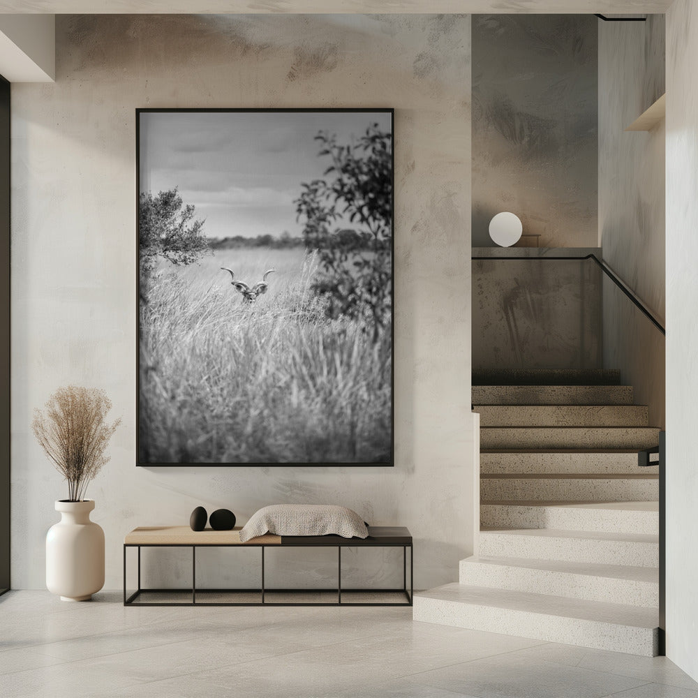 Hidden in the Grass | Poster