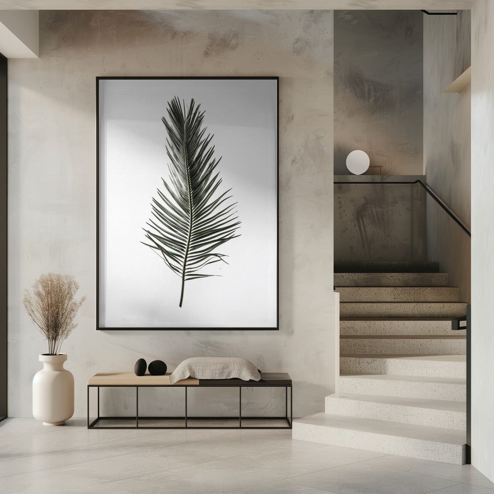 Feathered Frond | Poster