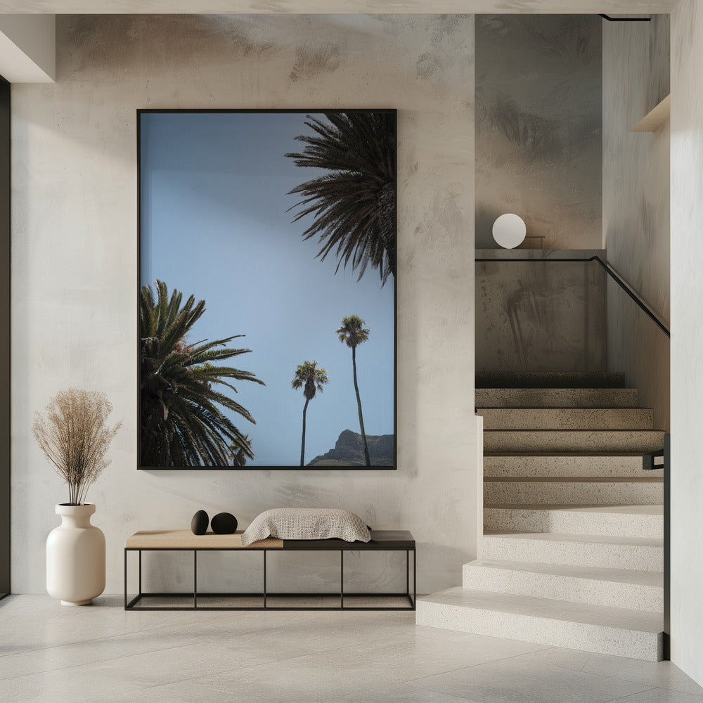 Sunny Palm Heights | Poster