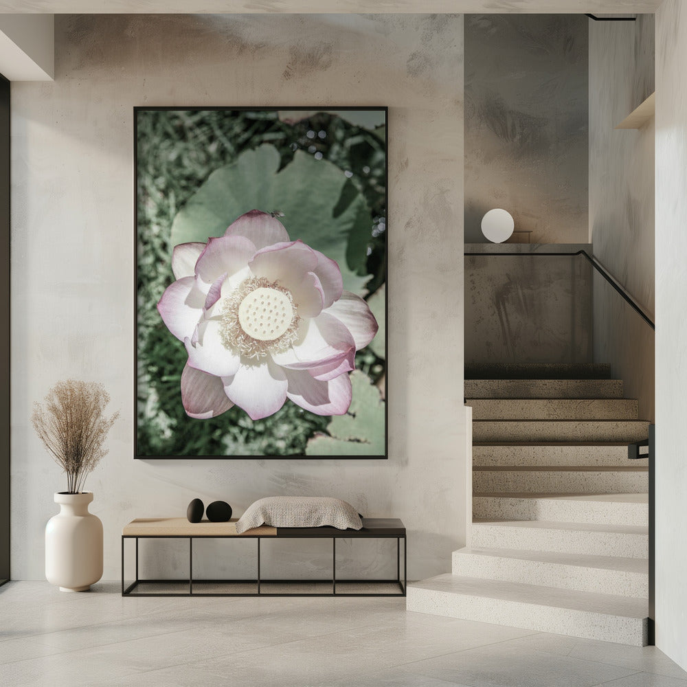 Lotus Serenity | Poster