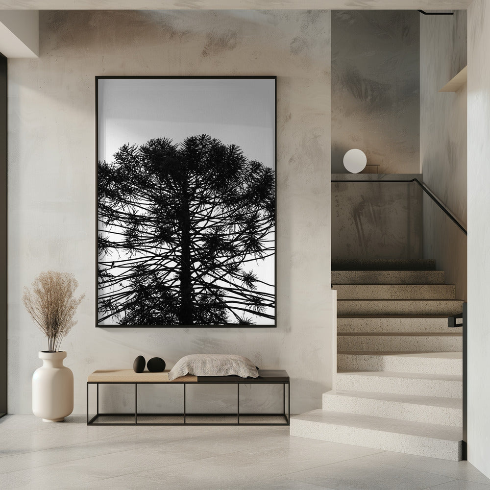 Silhouetted Symmetry | Poster