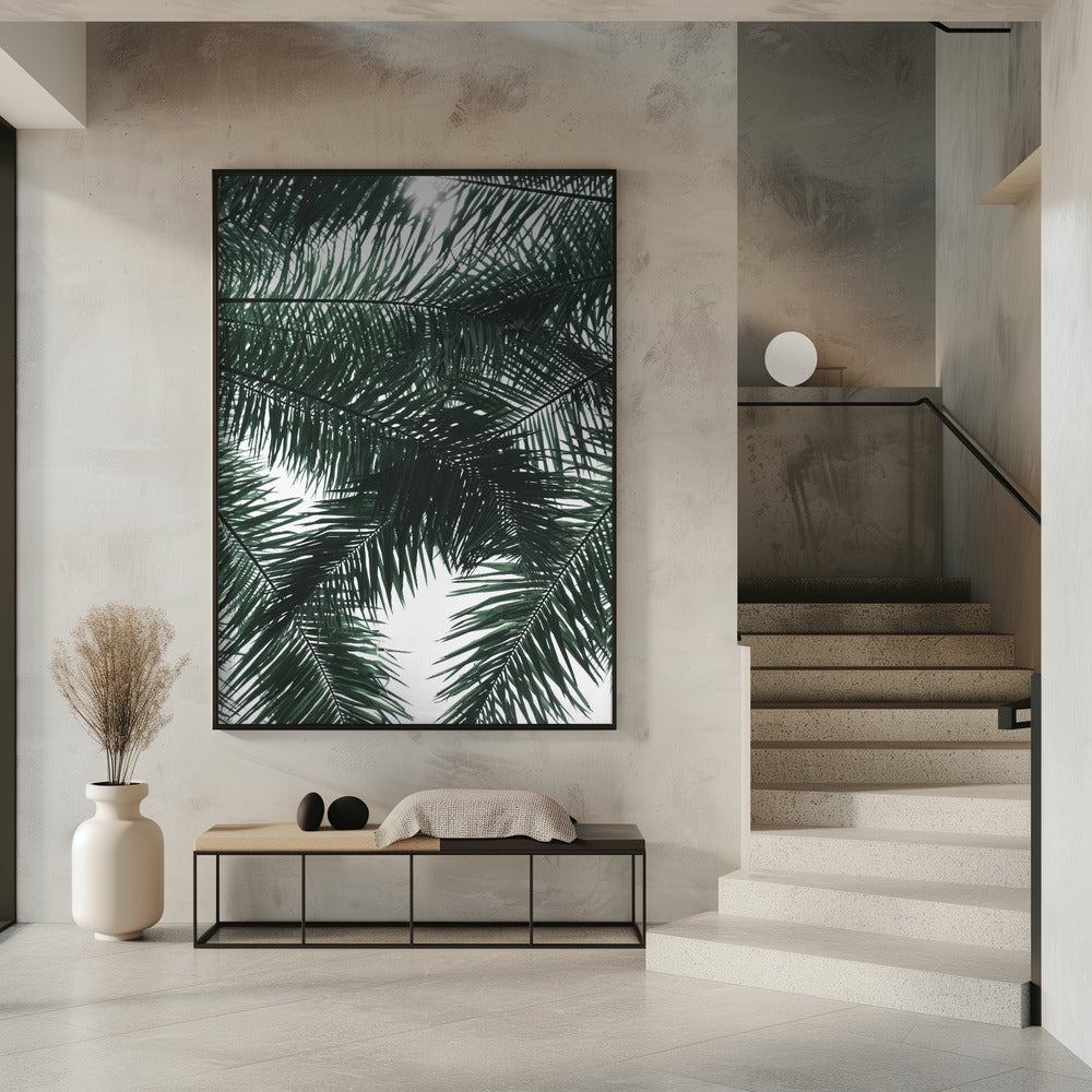 Sunlit Palms Canopy | Poster