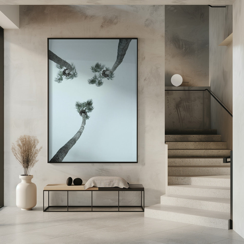 Skyward Palms | Poster