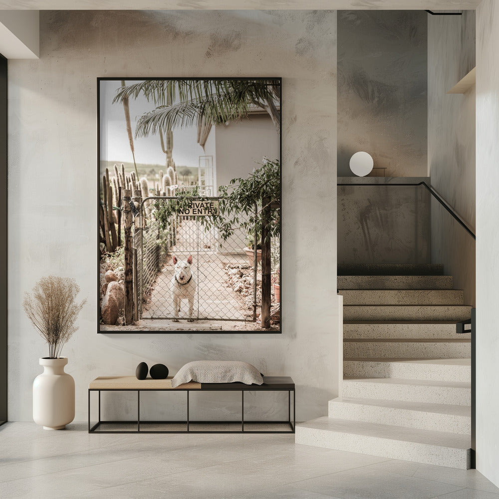 Guarding Serenity | Poster