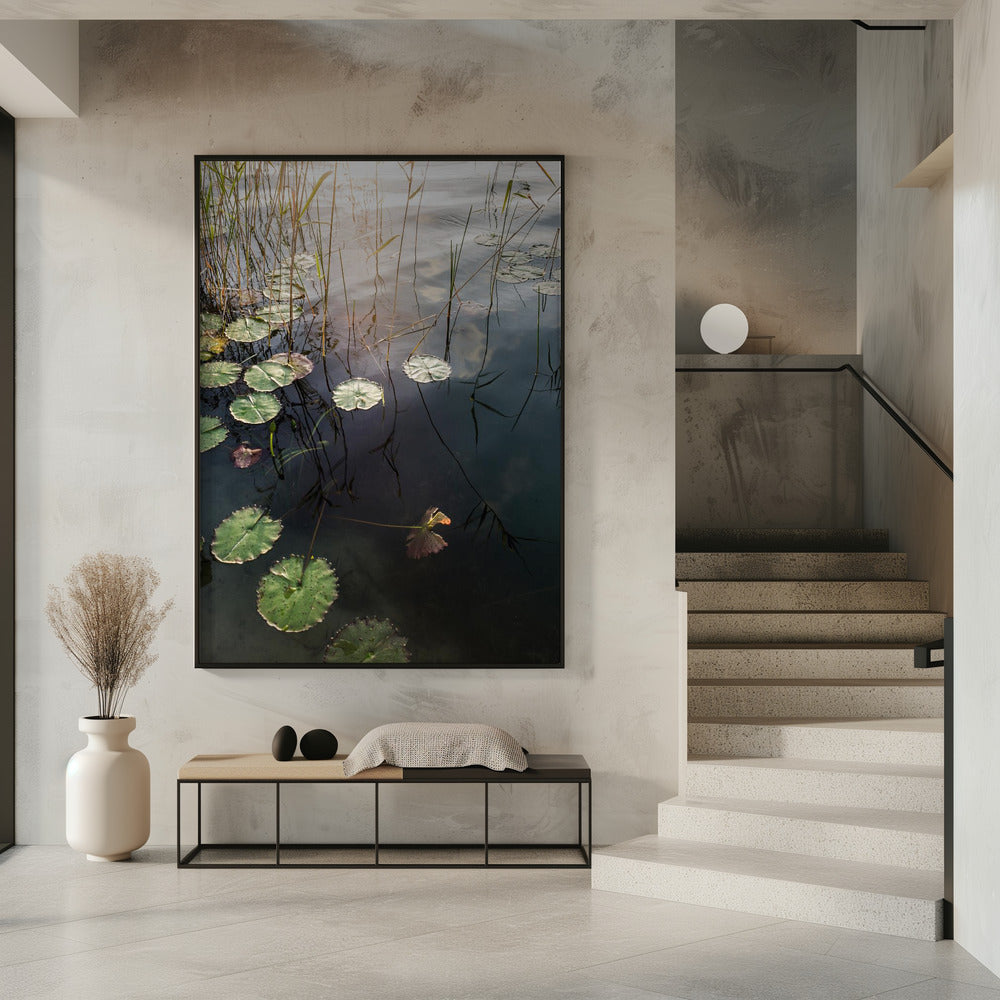 Lily&#039;s Tranquil Dawn | Poster