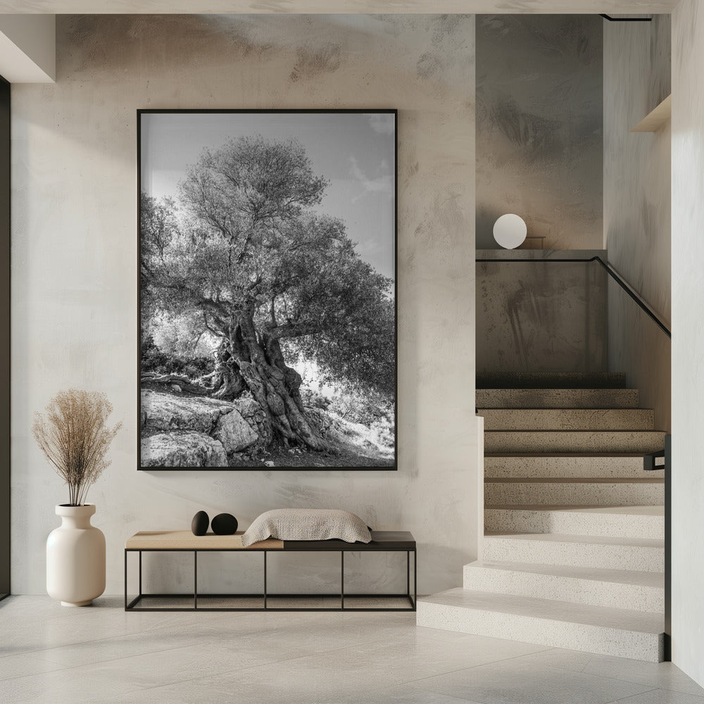 Ancient Sentinel | Poster