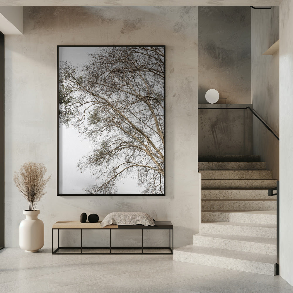 Winter&#039;s Whispering Branches | Poster