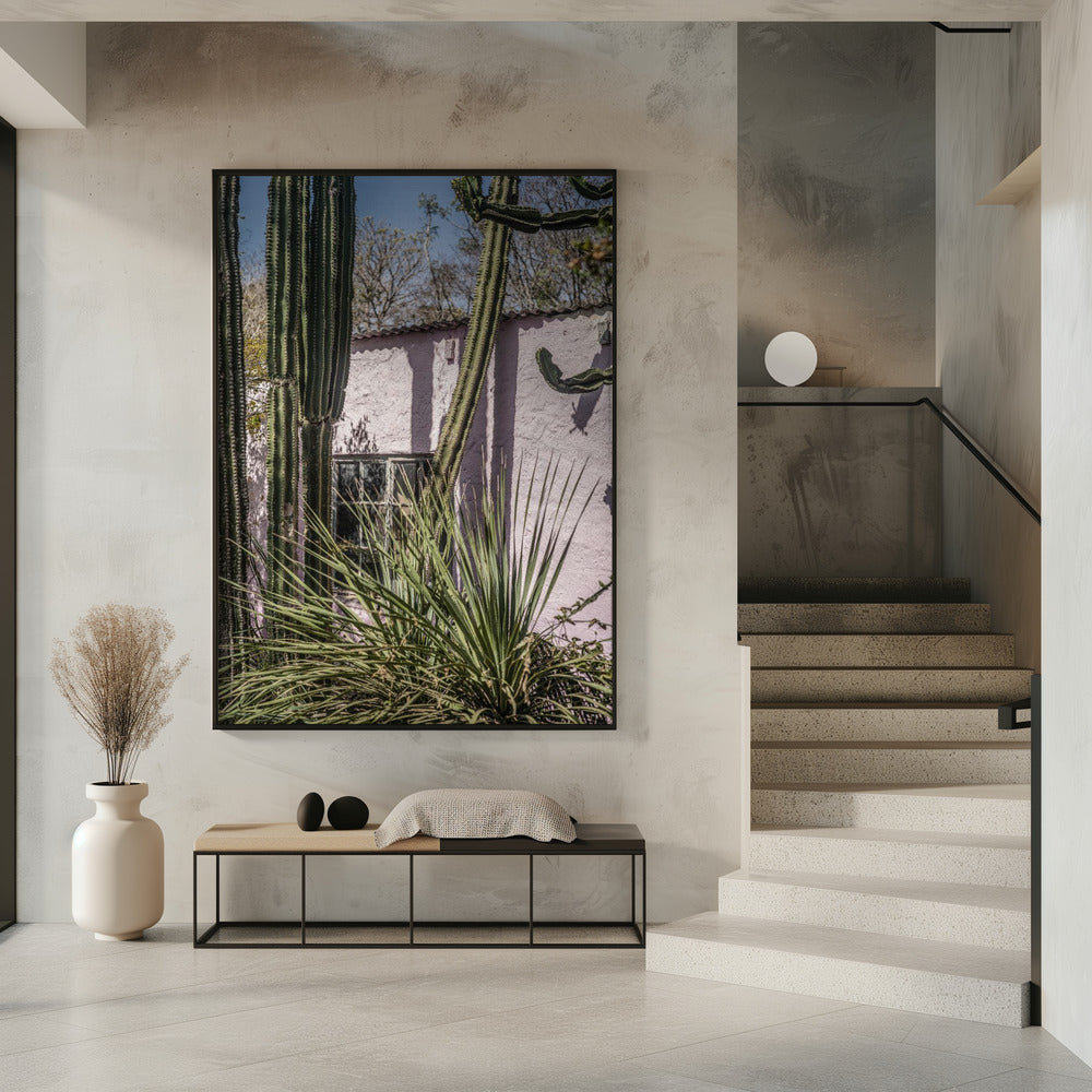 Cactus &amp; Pink Wall | Poster