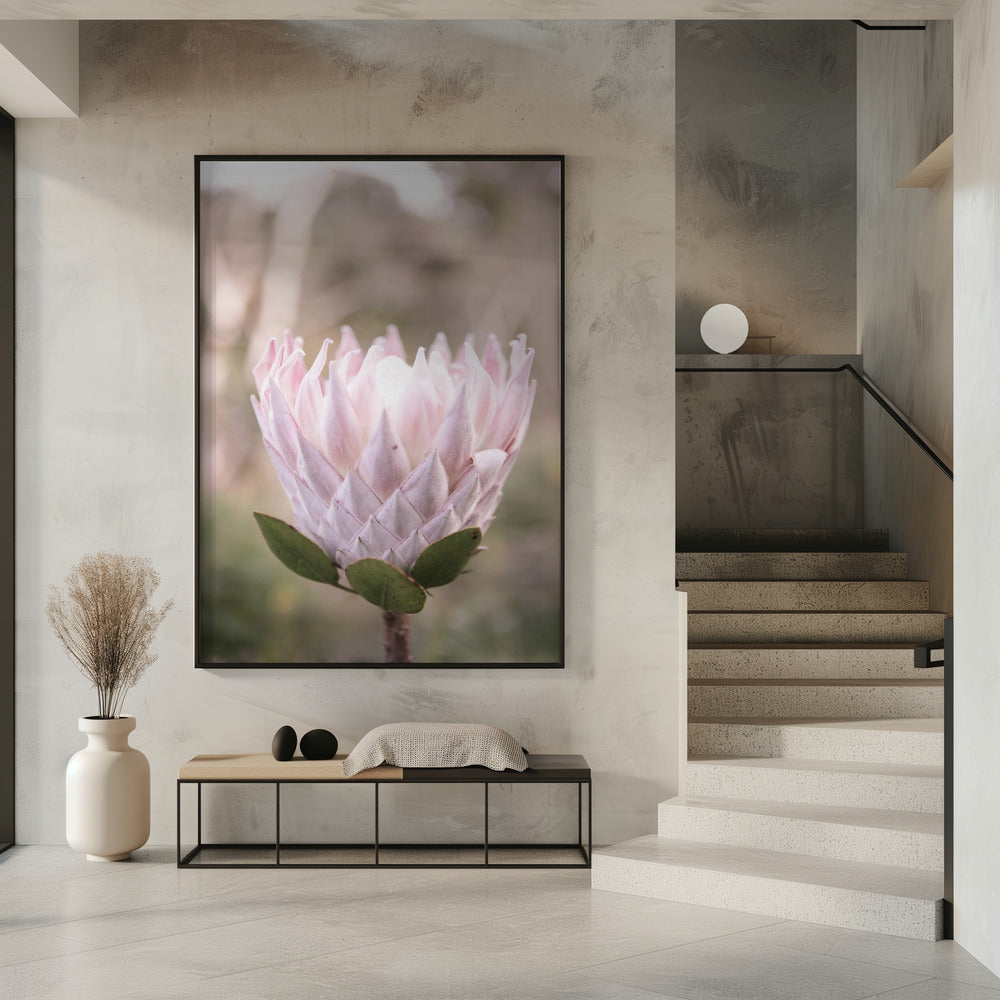 Blossom Majesty | Poster