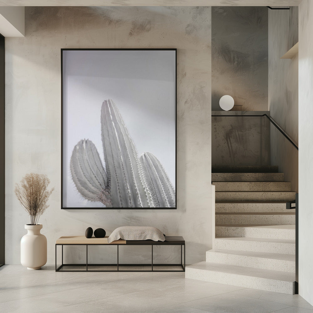 Minimalist Cactus | Poster
