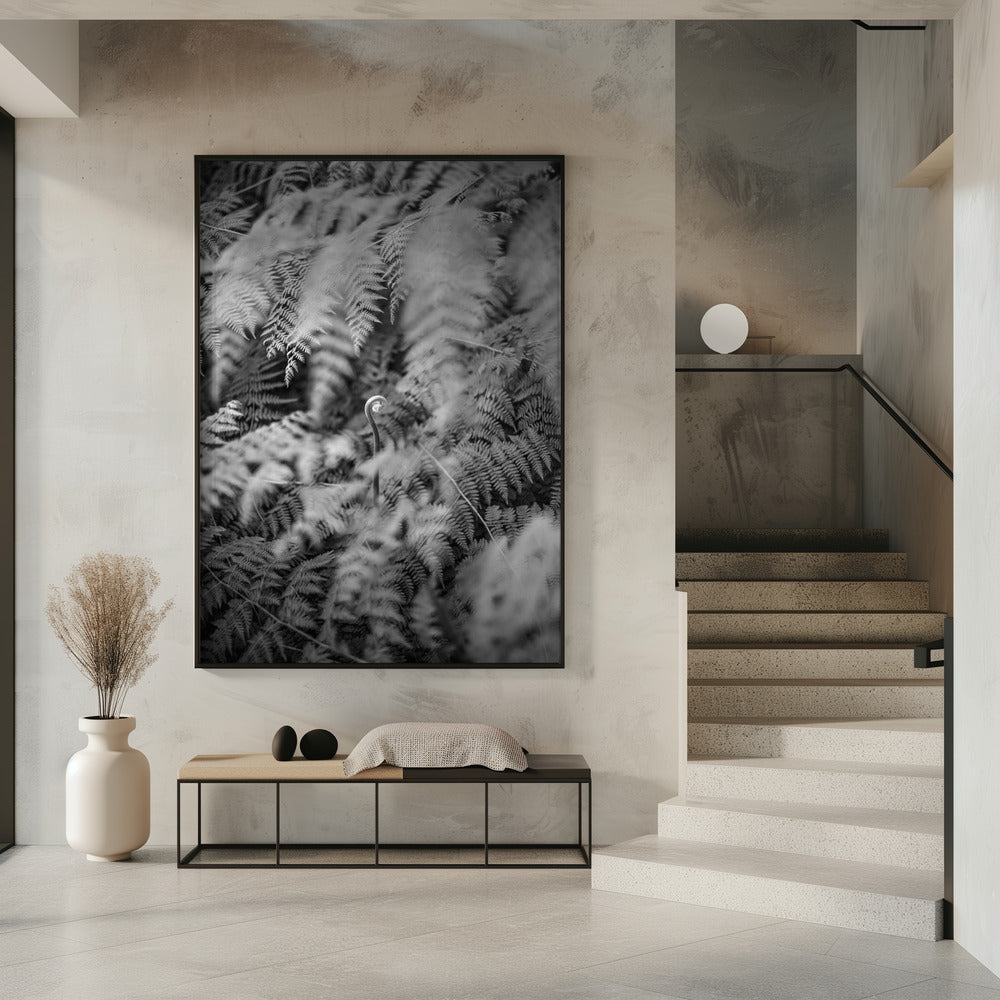 Black And White Photograph | Poster