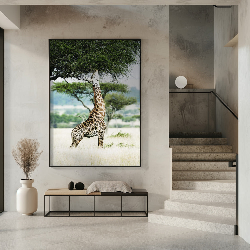 Majestic Giraffe Stretches | Poster