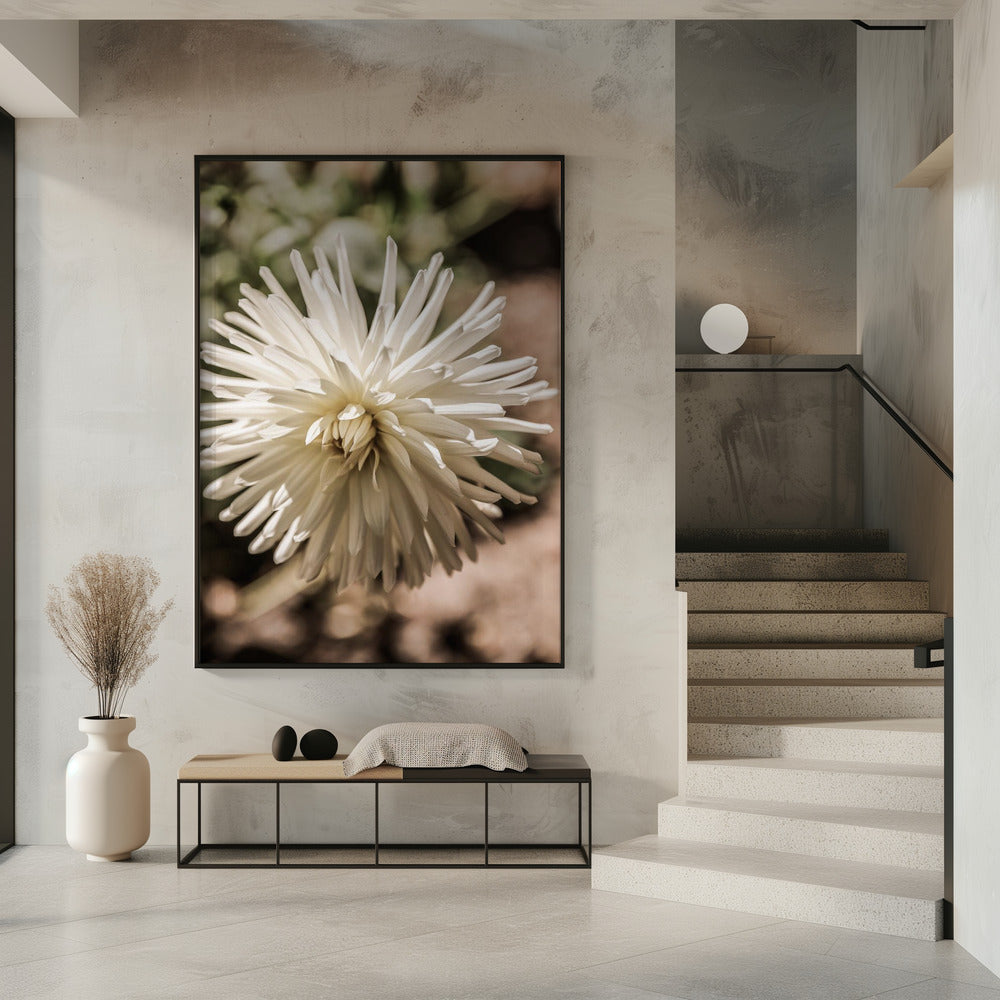 White Blossom Glow | Poster