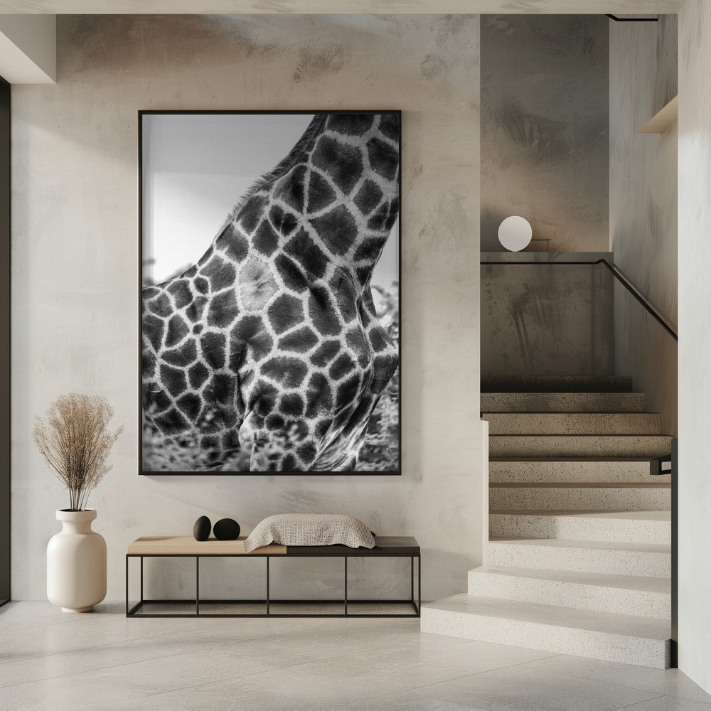 Intricate Patterns Of A Giraffe's Skin | Poster