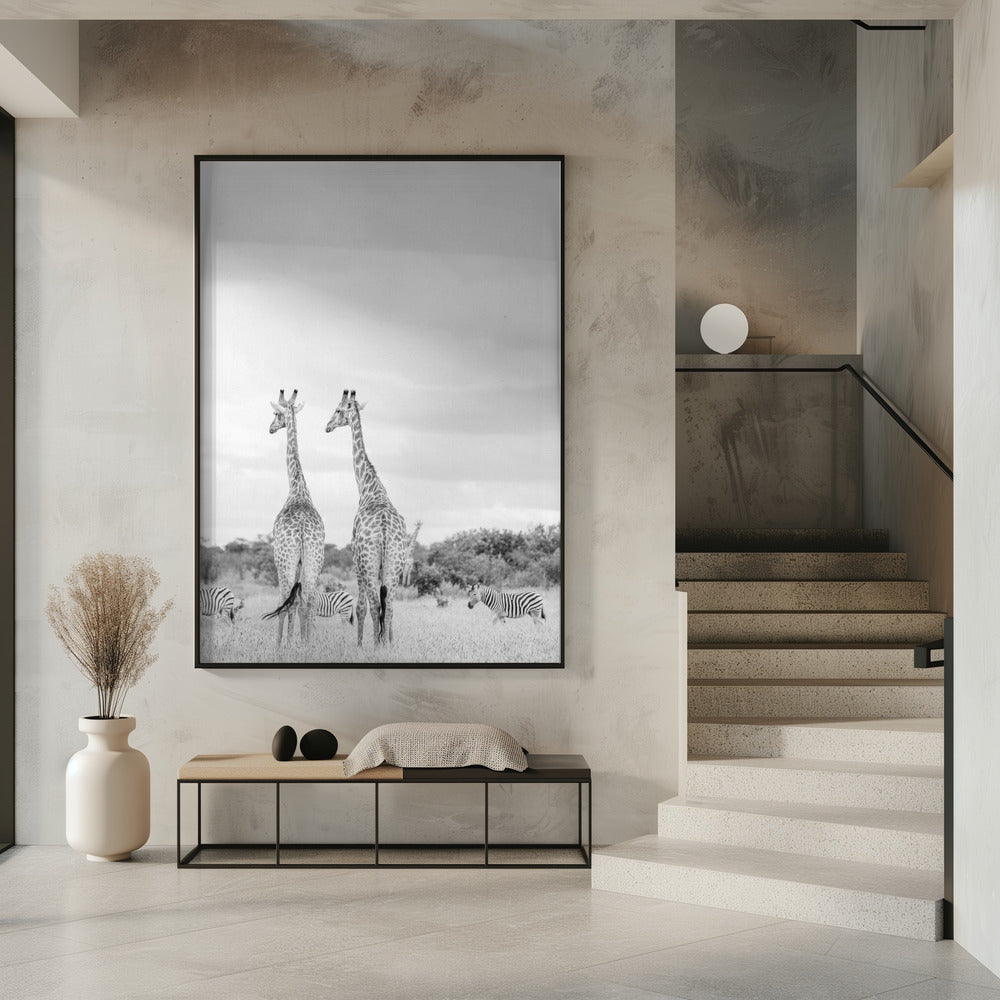 Super Safari | Poster