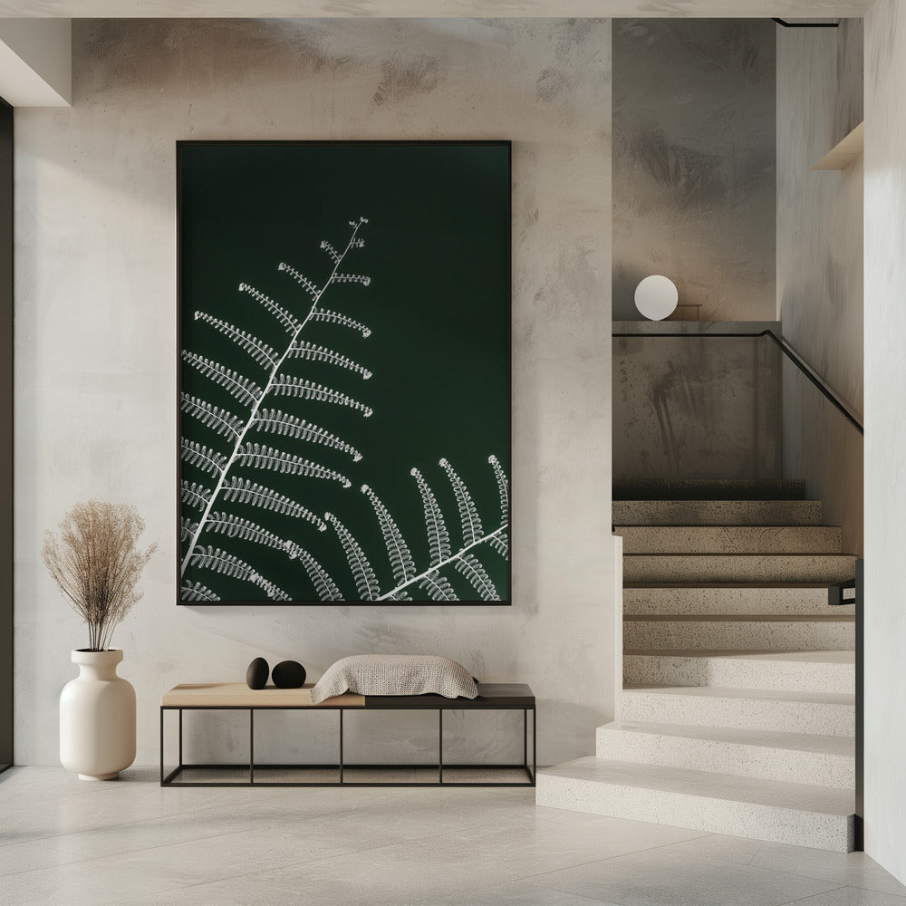 Fern&#039;s Gentle Curve | Poster