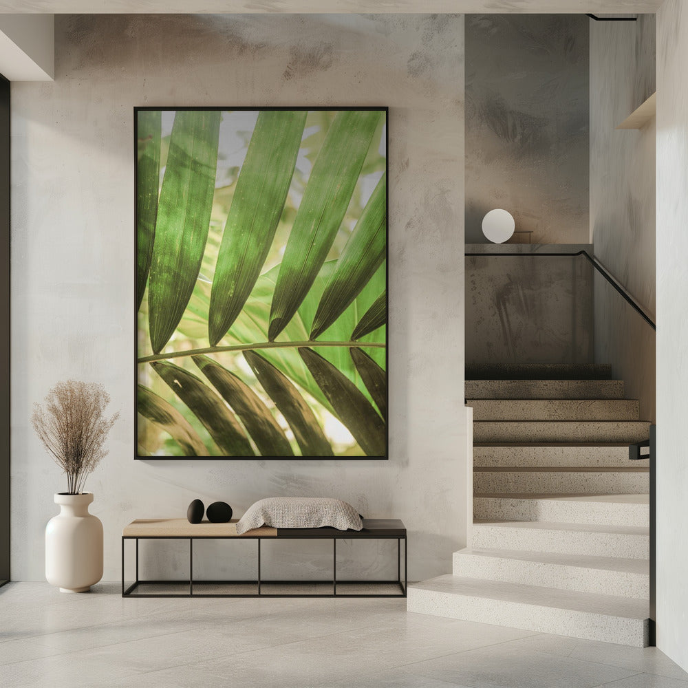 Beauty Of Palm Leaves | Poster
