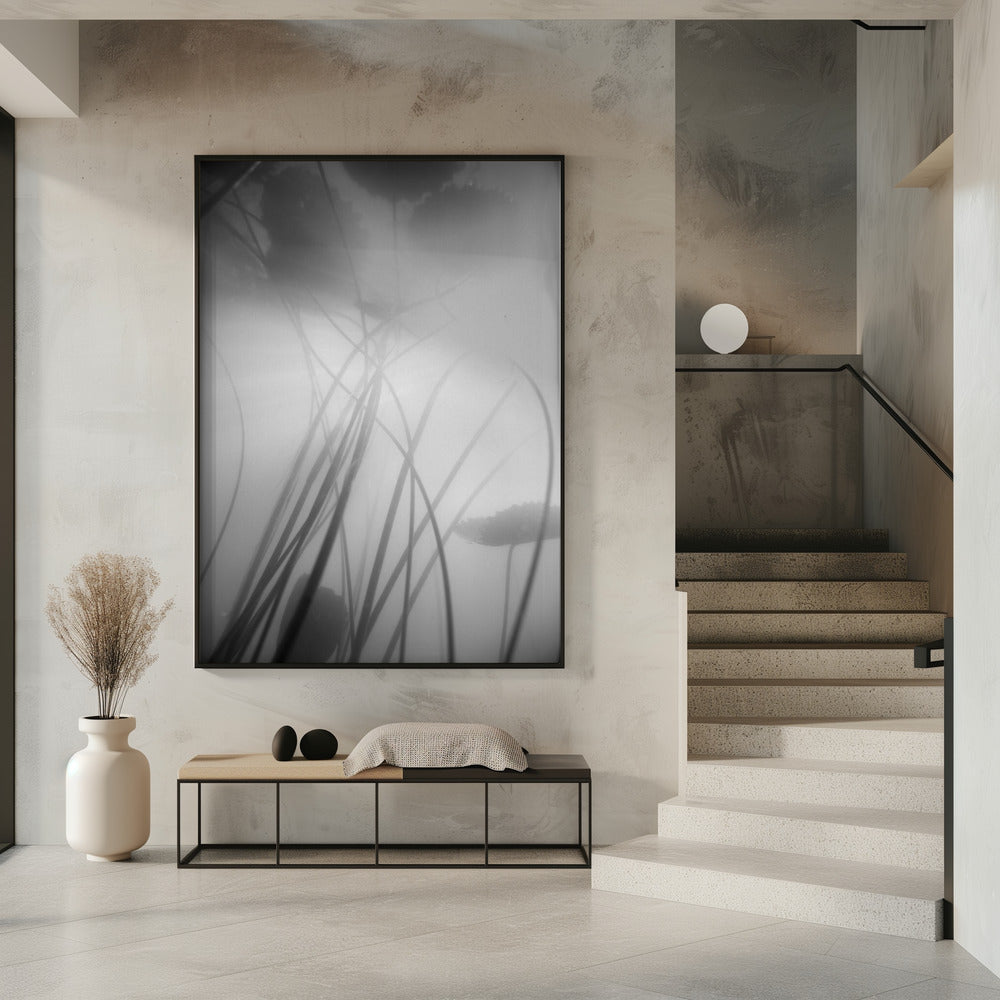 Water Lilly | Poster