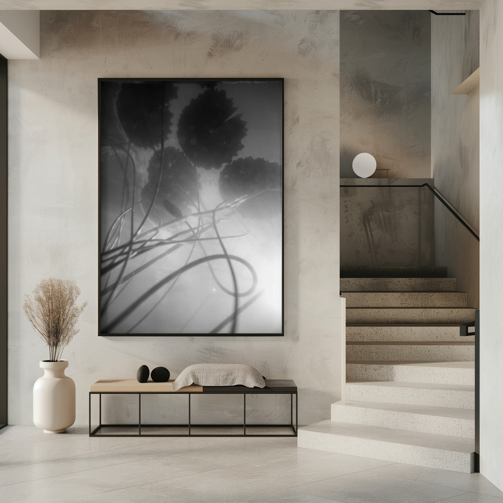 Water Lilly | Poster