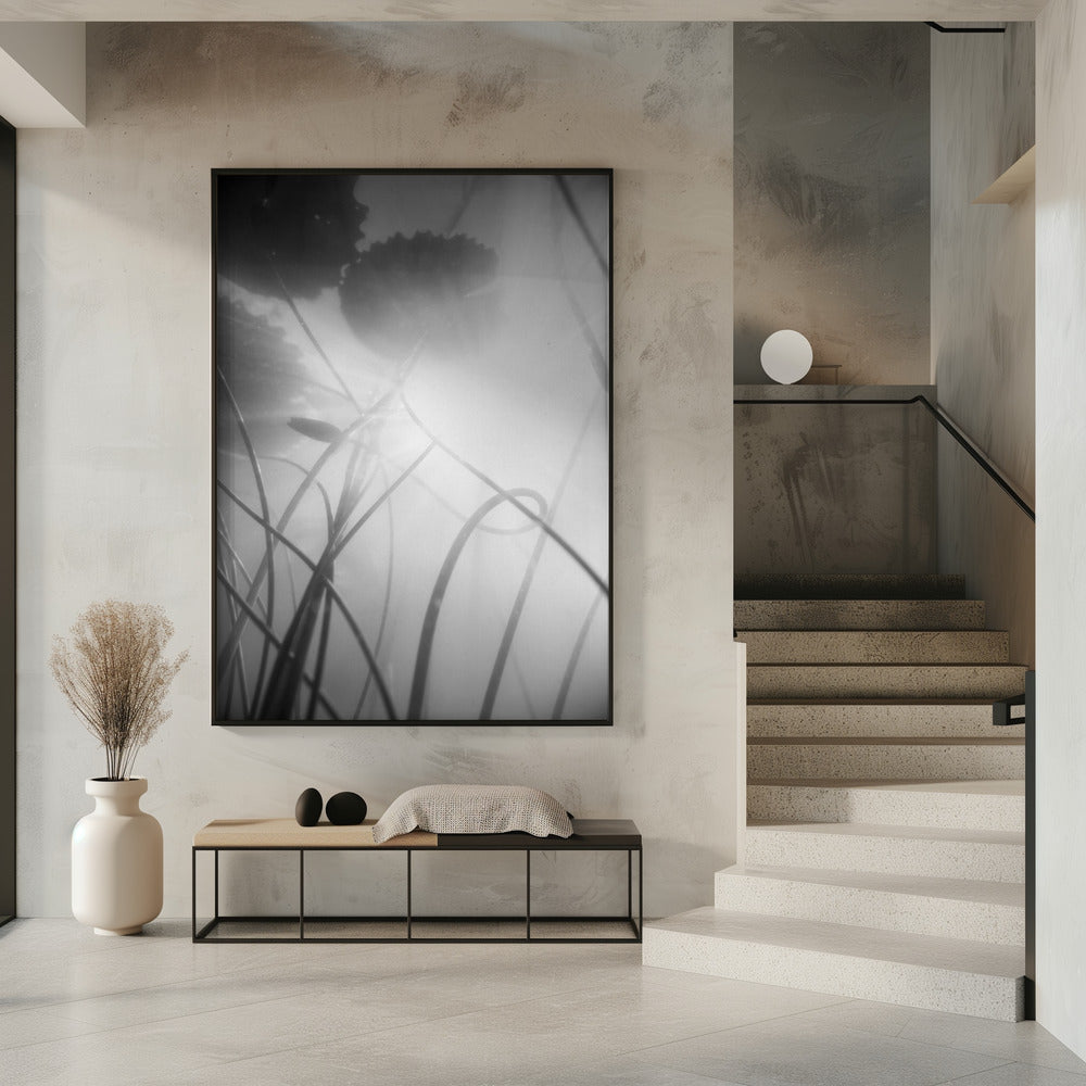 Water Lilly | Poster