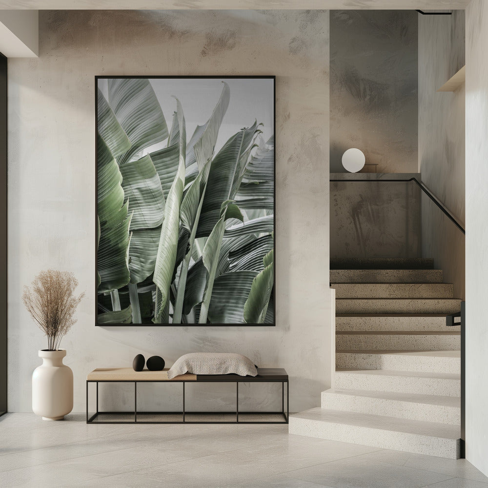Banana Leaves In Soft Lighting | Poster