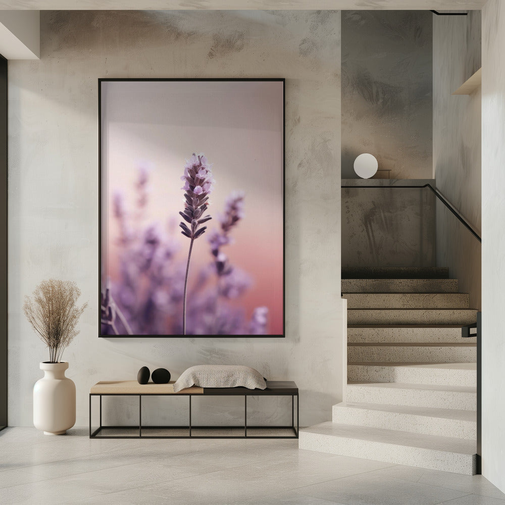 Lavender Serenity | Poster