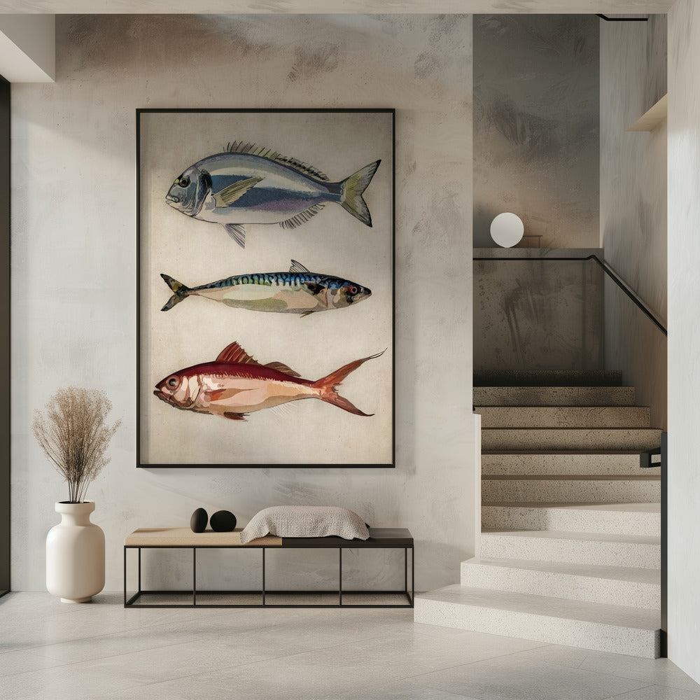 Trio of Ocean Life | Poster