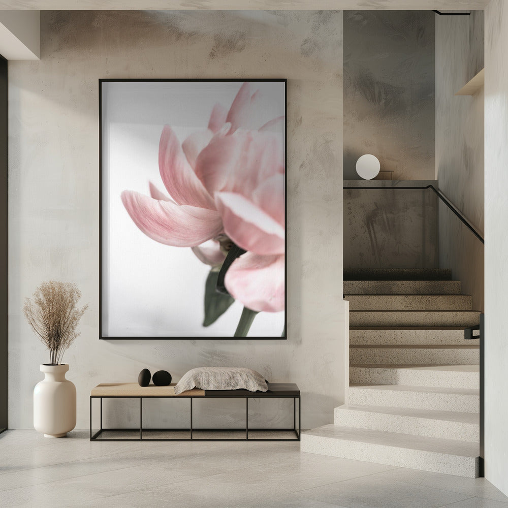 Peony 2 | Poster