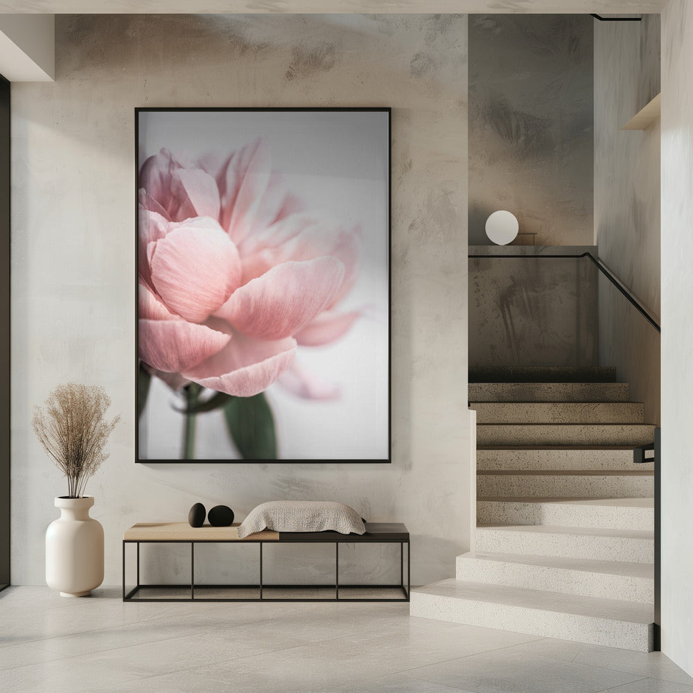 Peony 3 | Poster