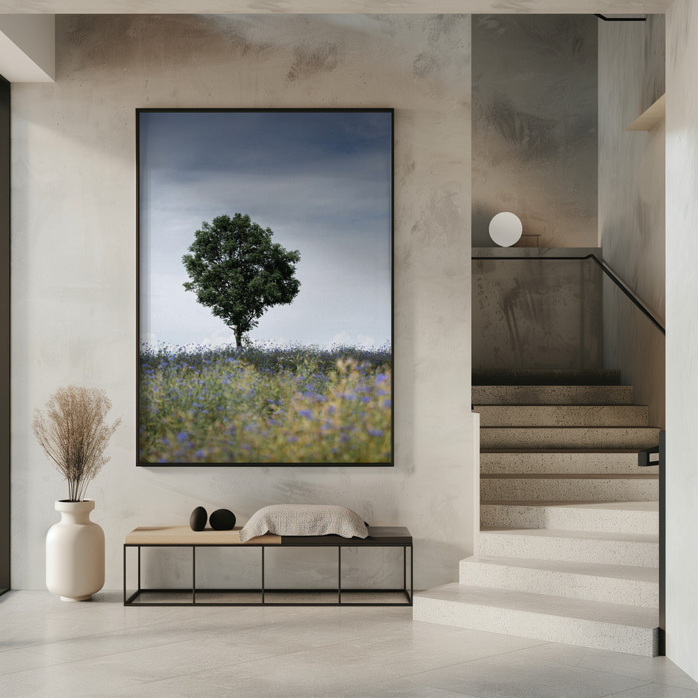 Summer Meadow | Poster