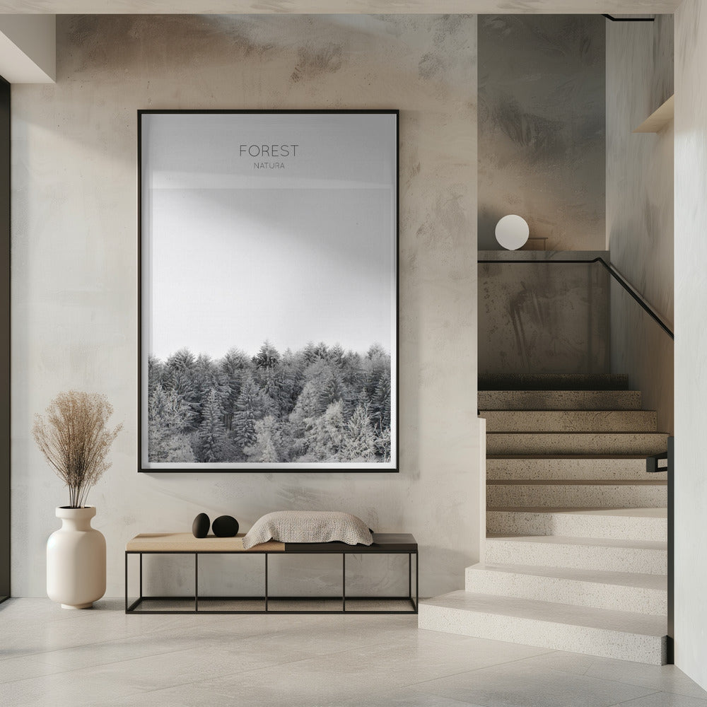 Frosted Tranquility | Poster