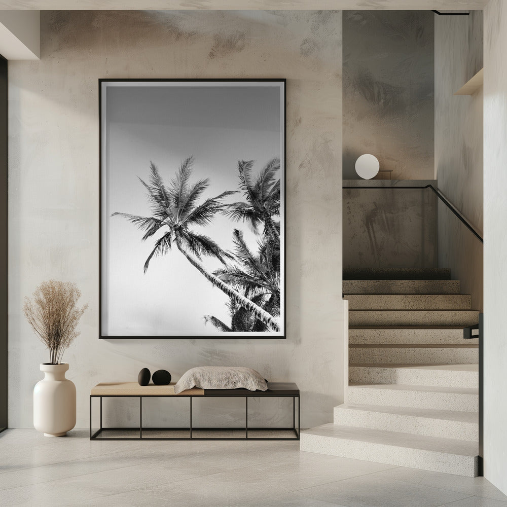 Tropical Silhouettes | Poster